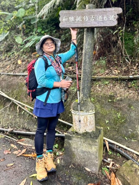 挑竹古道6號走小半天6連峰出孟宗竹林古戰場3108795