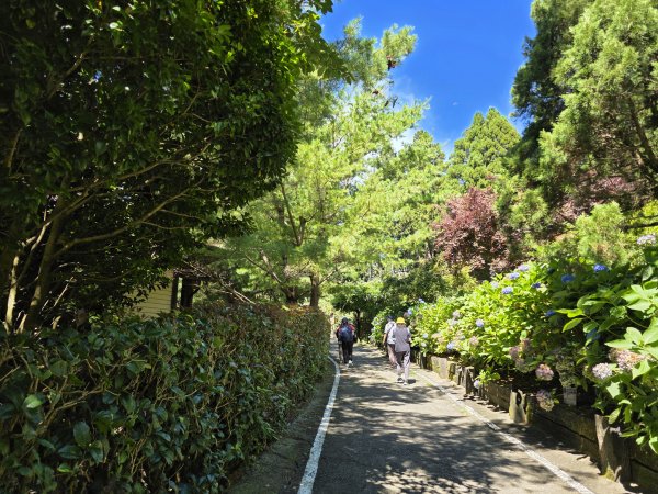[皮皮獅探險隊-09/10] 2025_0816 野馬瞰山步道2862664