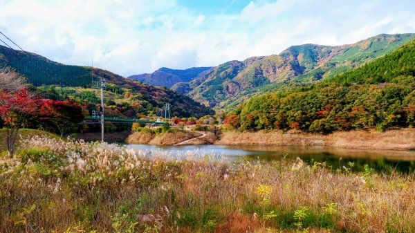 栃木縣紅葉谷大吊橋2930313
