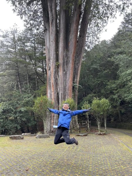 大雪山森林遊樂區2737492