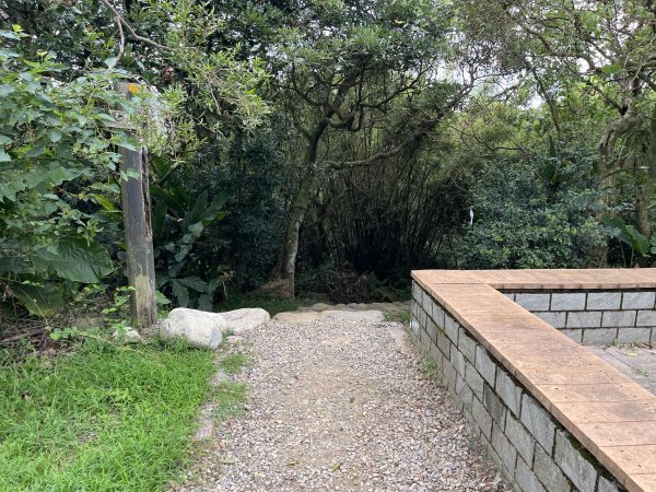 [微笑山線_第一段] 2025_0720 大棟山系_大棟山2843604