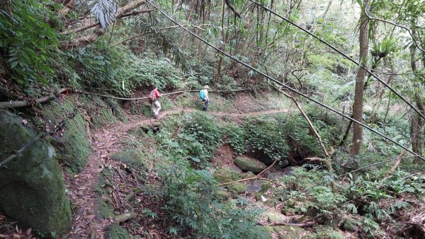 平溪區 東勢格越嶺古道-咸豐嶺古道-臭頭山-白石後仙洞O型2267792