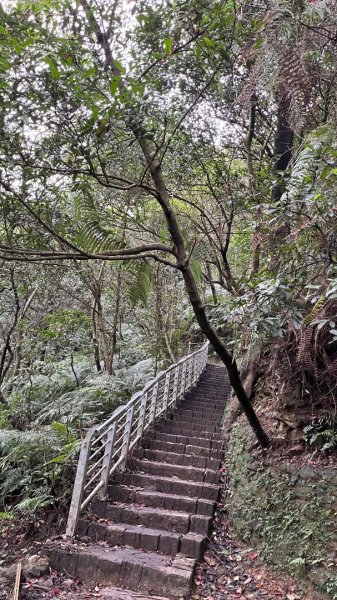 小百岳_大崙頭山2959948