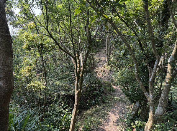 [微笑山線_第八段] 2026_0411 二格山系_筆架山北峰3035123