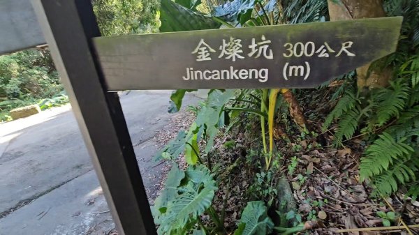 20251215林口森林步道+太平嶺海濱步道2969383