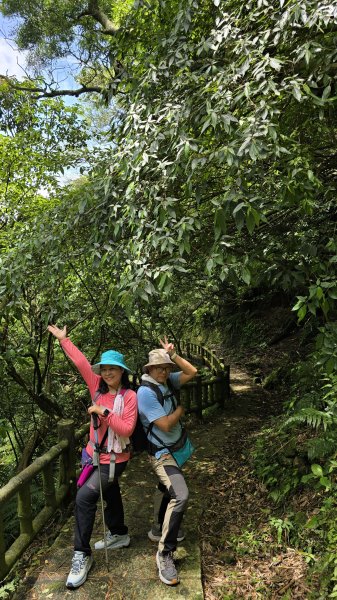 陽明山冷門好走步道平溪步道，欣賞石斛蘭瀑布不用去南部，無敵展望鵝尾山水田，涼爽好走狗殷勤古道。2784862