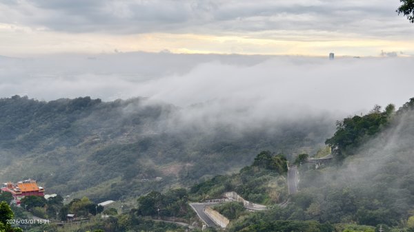 #雲瀑 #雲海 #琉璃光 #天空之城（林口）#觀音山 #林梢步道 3/13008584