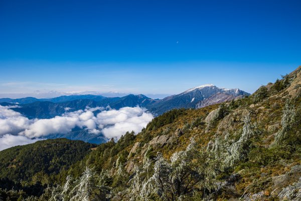 南二段撤退行2743230