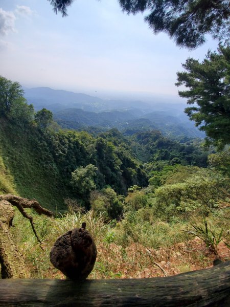 台中大坑頭嵙山698000
