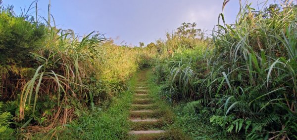 2021-10/10-基隆七堵-姜子寮山1485751