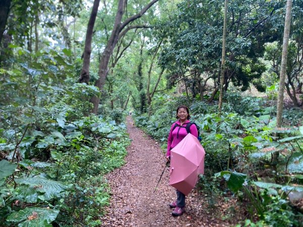 田中森林公園步道、赤水崎公園步道、花牆、龍過脈古蹟2750904