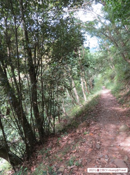 《南投》心靈之旅｜惠蓀林場步道群20171010-212890529