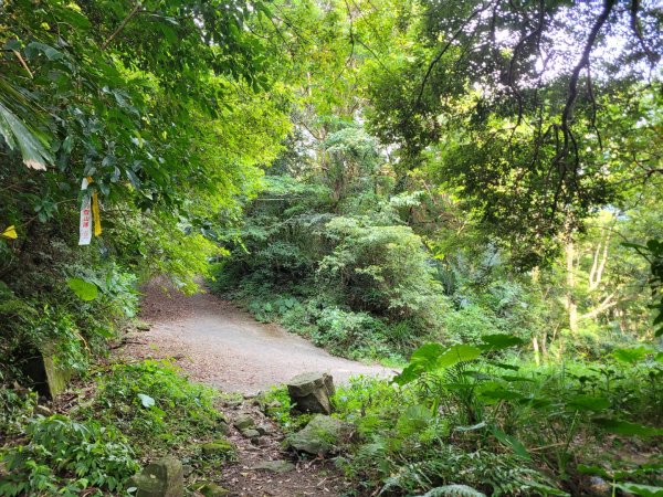 《貴妃那鳥包》O型縱走(貴妃山、那結山、外鳥嘴山、蓮包山)1854072