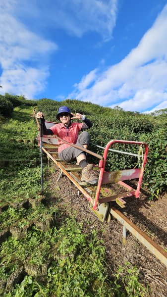 241122-慢走溪頭六連峰（大崙頭山、貓冬望山、民眾坪山、樟空崙山、志騰山、竹崙山）。美美兔沒在怕2654744