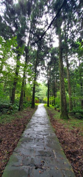 2023-06-18東眼山自導式步道2187055