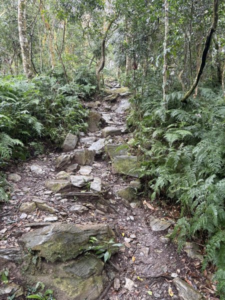 20251227尾寮山登山步道2970532