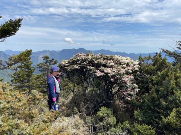 楠梓仙溪上南玉山1373083