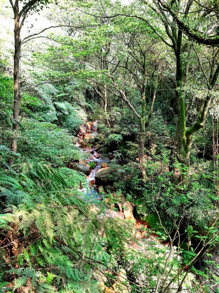 走遍陽明山：擎天崗系｜景遠心自闊，潺潺溪水聲洗去一身憂2113816