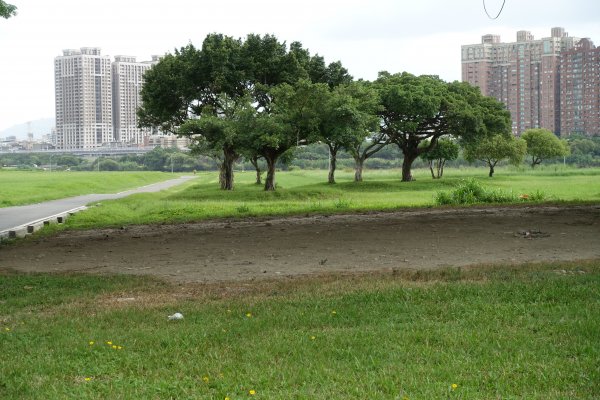 華中河濱公園1124125