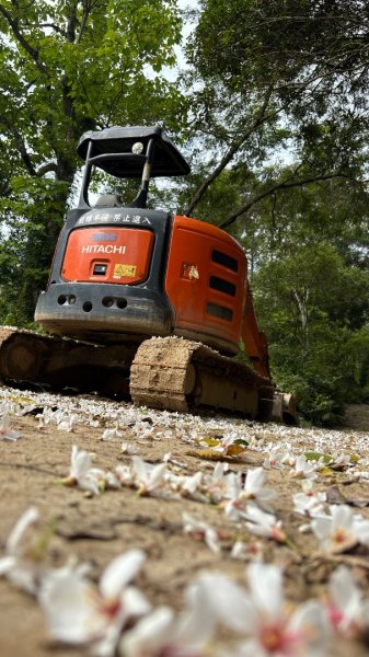 雙石+++牛背2776490