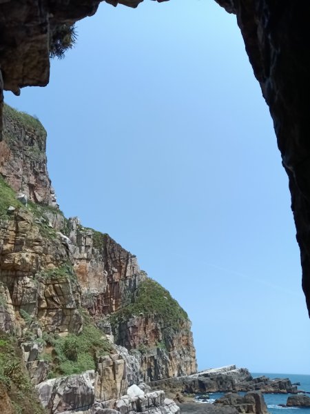 貢寮區龍洞灣岬步道+大禮堂海岸+釣客小徑+金沙灣碉堡野百合2765102