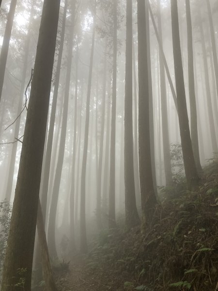 民都有山-親子關係從和解開始1234373