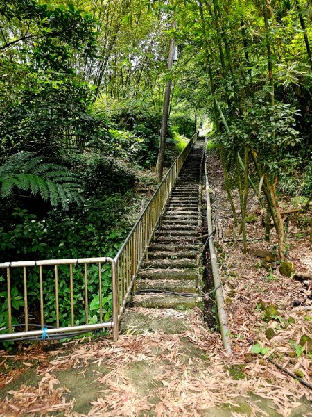 (五分山系)菁桐煤礦-2025微笑山線大縱走尋寶集章任務2855316