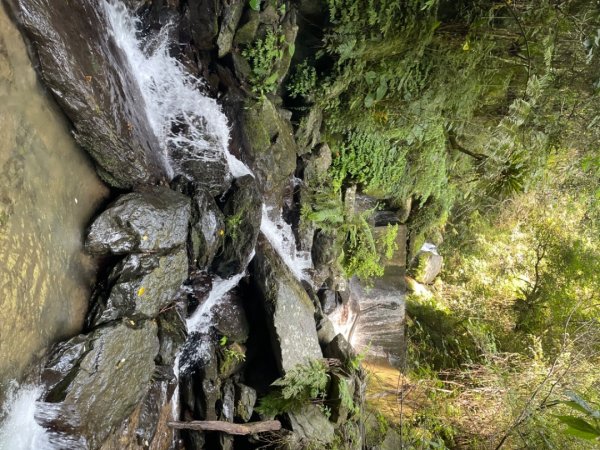 烏來阿玉溪山/西坑林道/探勘派出護管所彈藥庫遺址至獅坑橋2581997
