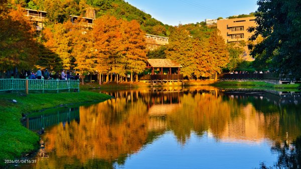 #花卉試驗中心 #永公路500巷 #平菁街42巷 #原住民公園 #士林官邸 1/42976584