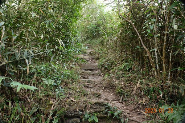 屏東 瑪家鄉 白賓山、真笠山2020192