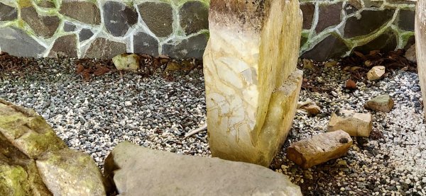 【中級山縱走】志繼山，東眼山，拉卡山，卡外山，東滿步道2742598