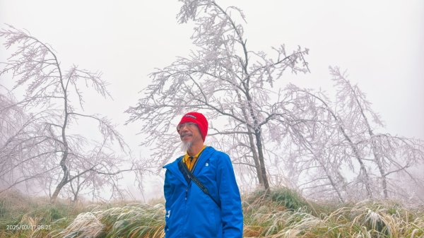 #望洋山 #太平山觀雲步道 #霧淞 #雲海 #帝雉 3/172737651