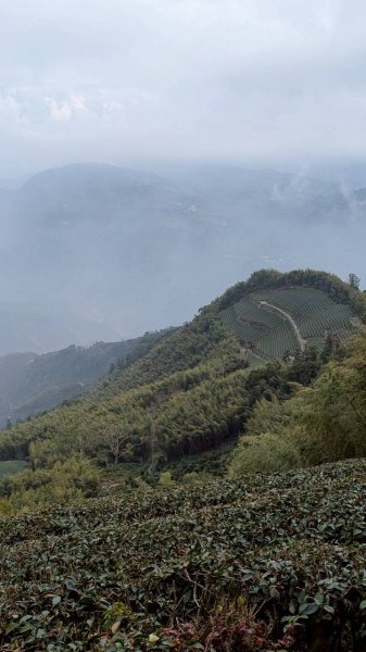 雲嘉五連峰 (大尖山、二尖山、馬鞍山、梨子腳山、太平山)2991067