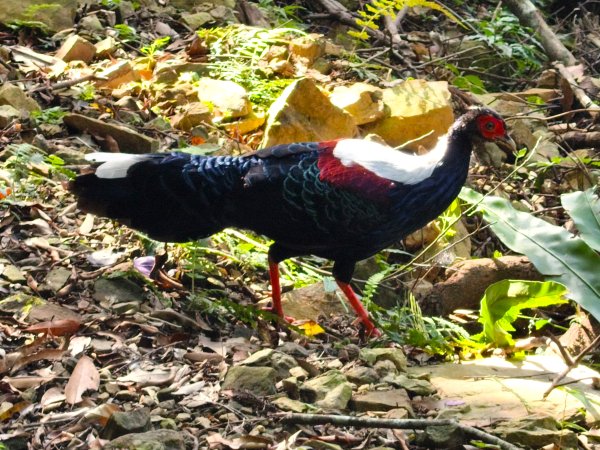 2025_0920 東滿步道2892692