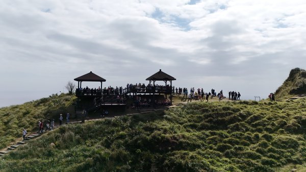 2025.11.29－草嶺古道芒花季2955991