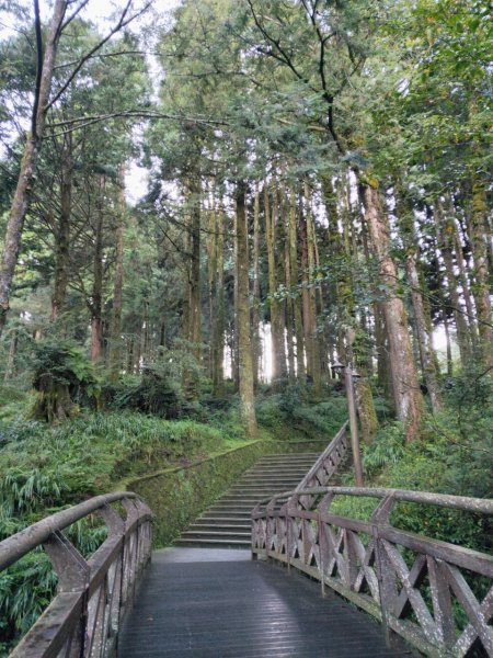 小百岳(59)-大塔山-202209251878812