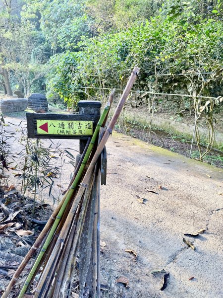 再訪八通關社寮古道登陳東坑山    2025.11.252946095