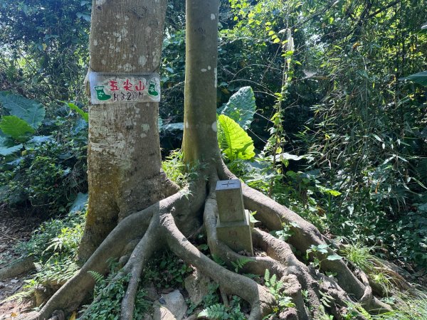 圓通寺南勢角山2765765