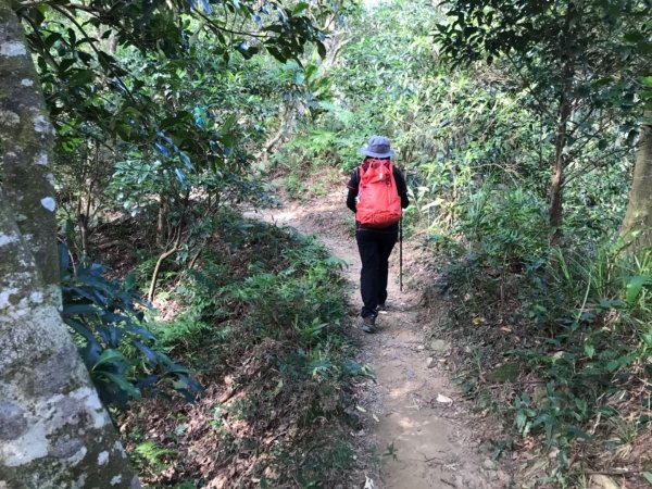 五寮尖上大風狂448890