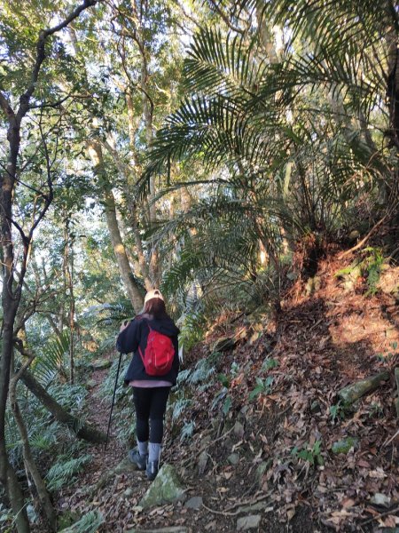 2024.02.01 凌空廊道登煤源山2843941