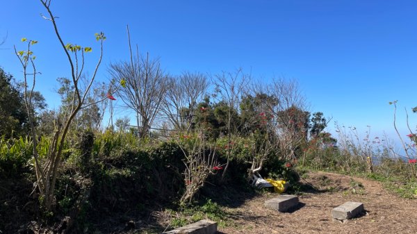 樟之細路-聖關段2686820