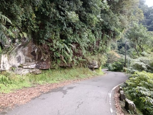 汐止區茄苳越嶺古道+上鹿窟崙山+九層坪山+四分尾山+大尖山8字走2981587