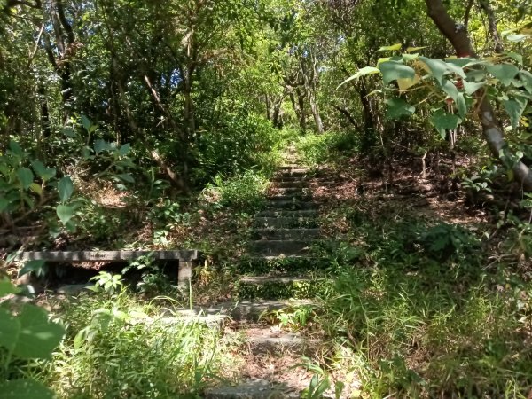 基隆市金交椅山+金交椅南峰+紅淡山東北峰、北北峰、北峰+紅淡山+厲翼嶺出三坑車站2903186