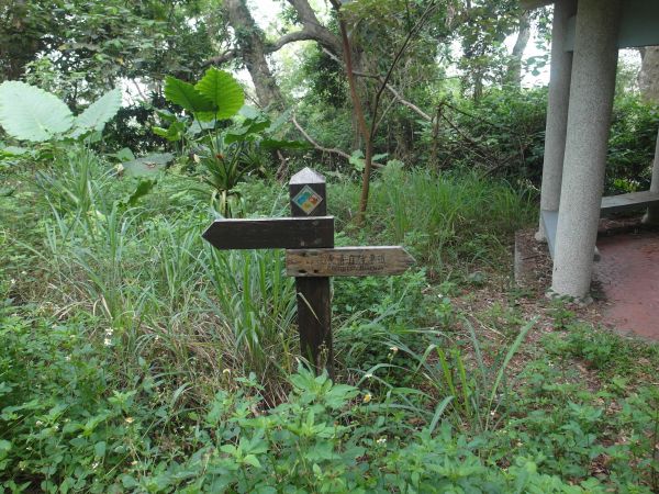 社頭清水岩二棧坪(封閉)麒麟山田中步道131796