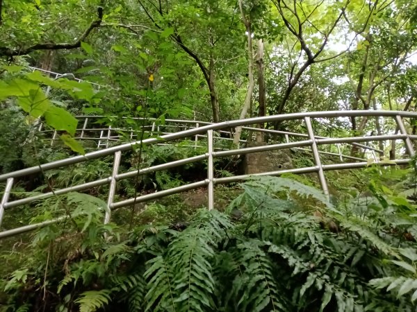 內湖區大湖公園+白鷺鷥山2931141