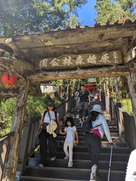 太平山檜木原始林步道