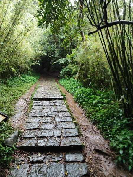 臺北大縱走第一段：關渡至二子坪2790245