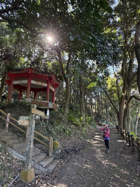 鳴鳳山-錫隘古道大O繞-202601252991417