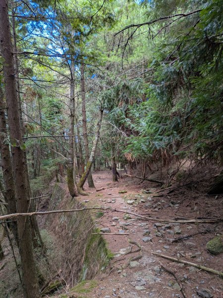 結界縱走三日(結城山、境界山、檜山)2920904