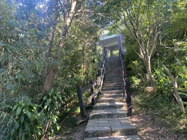 【四獸山 Short】虎豹象先行！獅山封閉中，等新步道開箱再相見2888805